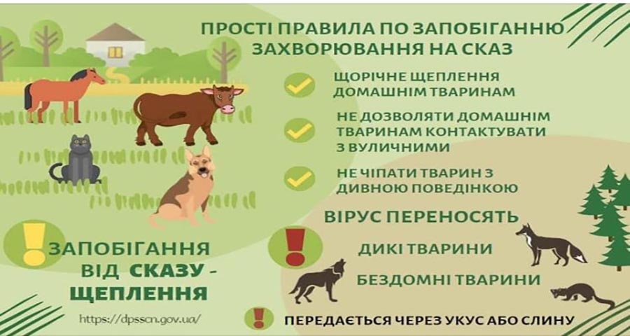 проводити вакцинацію собак та кішок проти сказу