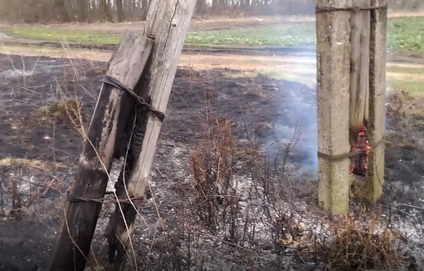 Пожежа в Заставні